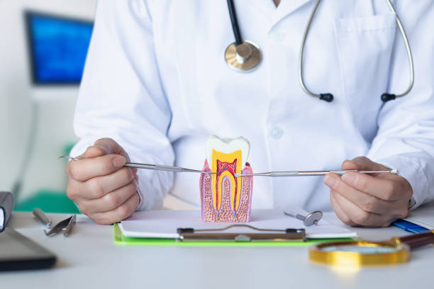 Best Emergency Denture Repair in Benson, NC